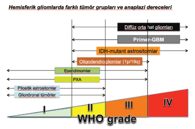 Düşük ve Yüksek Dereceli Glial Tümörler - Prof.Dr. Koray Özduman